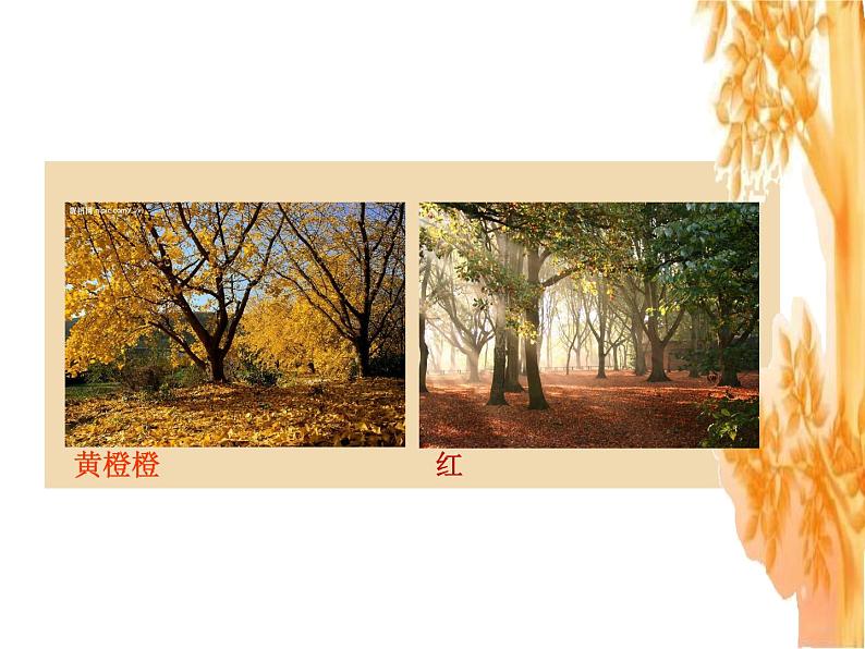 15.秋天的落叶 课件 (3)第2页