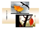 嶺南版美術(shù)三年級下冊 15. 秋天的落葉 課件 教案 (3)