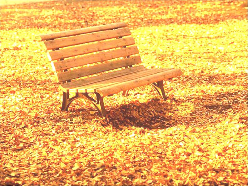 岭南版美术三年级下册 15. 秋天的落叶 课件 教案 (2)01