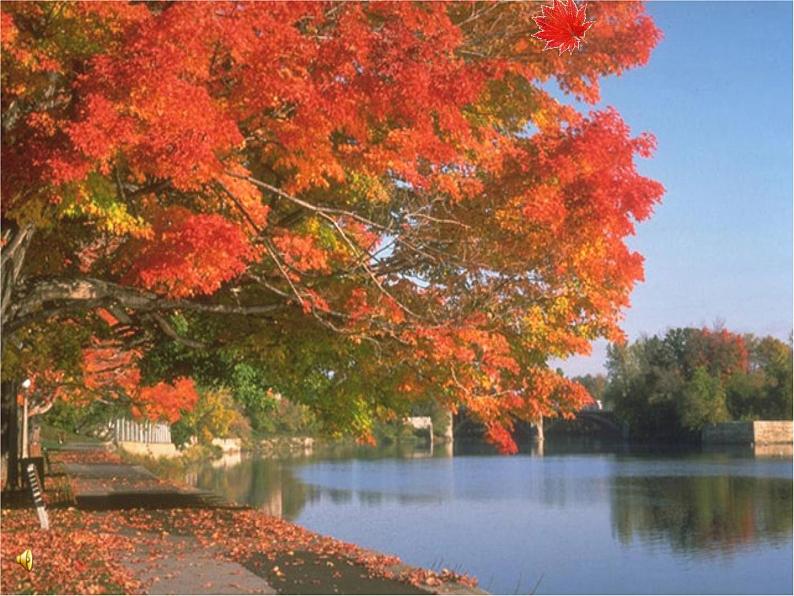 岭南版美术三年级下册 15. 秋天的落叶 课件 教案 (2)07