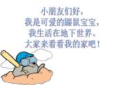 嶺南版美術(shù)三年級(jí)下冊(cè) 7. 現(xiàn)代城市的地下世界 課件 教案