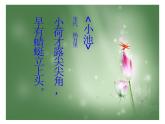 嶺南版美術(shù)四年級(jí)上冊(cè) 11.美麗的荷塘 課件 教案 (2)