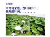 嶺南版美術(shù)四年級(jí)上冊(cè) 11.美麗的荷塘 課件 教案 (2)