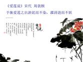 嶺南版美術(shù)四年級(jí)上冊(cè) 11.美麗的荷塘 課件 教案 (2)