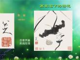 岭南版美术四年级上册 11.美丽的荷塘 课件 教案