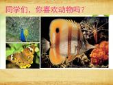 岭南版美术四年级上册 4.泥板动物 课件