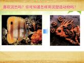 岭南版美术四年级上册 4.泥板动物 课件