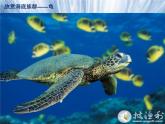 嶺南版美術(shù)四年級(jí)下冊(cè) 14.成群的動(dòng)物 課件 教案 (4)