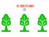 美術(shù)四年級(jí)下嶺南版5.15家鄉(xiāng)綠夢(mèng)課件（21張）