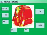 嶺南版美術(shù)四年級(jí)下冊(cè) 4. 我的書(shū)包 課件 教案 (2)