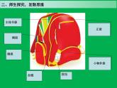 岭南版美术四年级下册 4. 我的书包 课件 教案 (2)