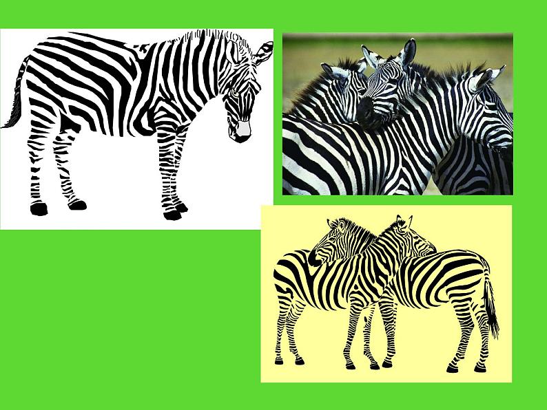 变照片为黑白的画PPT课件免费下载07