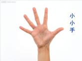 嶺南版美術(shù)五年級上冊 10.奇思妙想 課件 教案