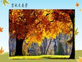 嶺南版 三下 15. 秋天的落葉 課件（11張）