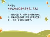 嶺南版 三下 15. 秋天的落葉 課件（11張）