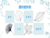 嶺南版 三下 15. 秋天的落葉 課件（9張）