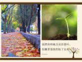 嶺南版 三下 13. 春天的消息 課件（14張）