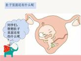 肚子里的故事PPT課件免費(fèi)下載