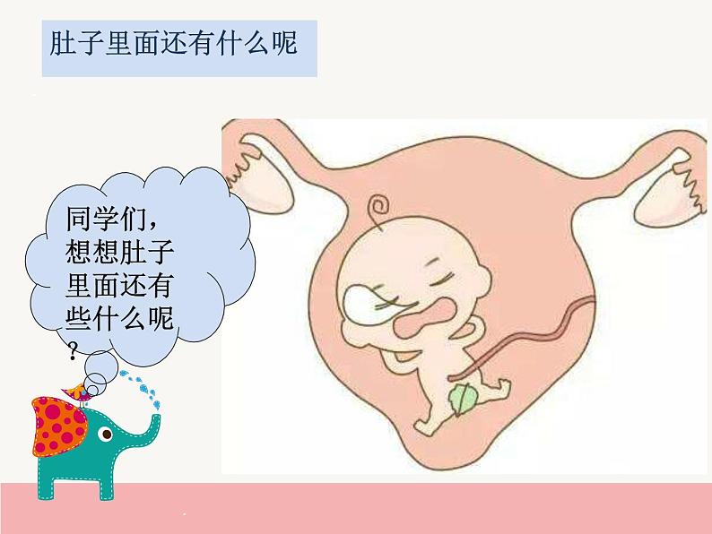 肚子里的故事PPT课件免费下载05