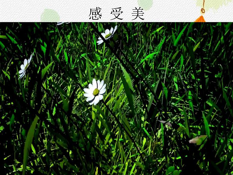 小学生美术课件《21.-小树快快长》-湘美版(12张PPT)第2页