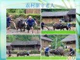 嶺南版美術(shù)五年級下冊 6.做個胸卡送老人 課件 教案