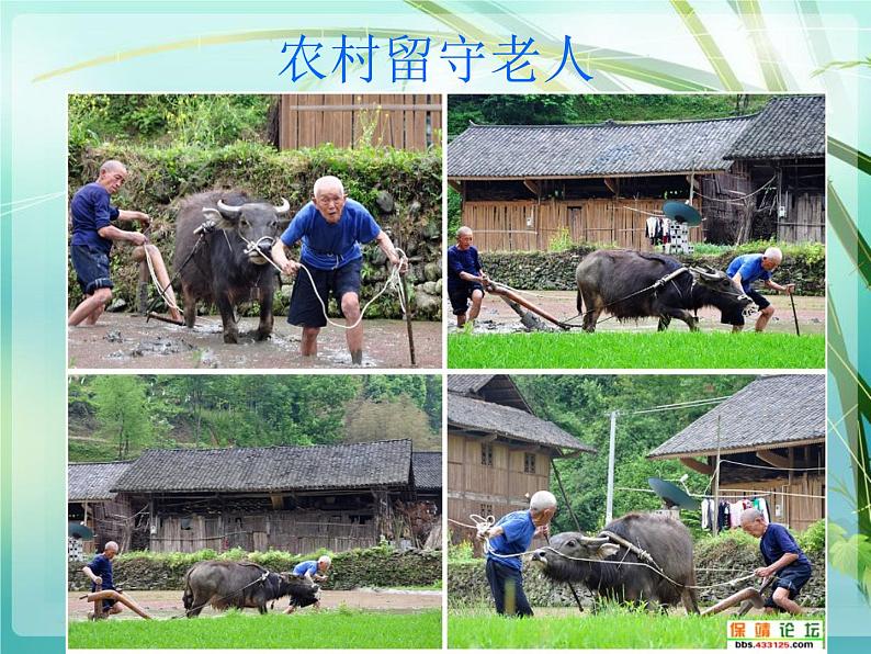 岭南版美术五年级下册 6.做个胸卡送老人 课件 教案04