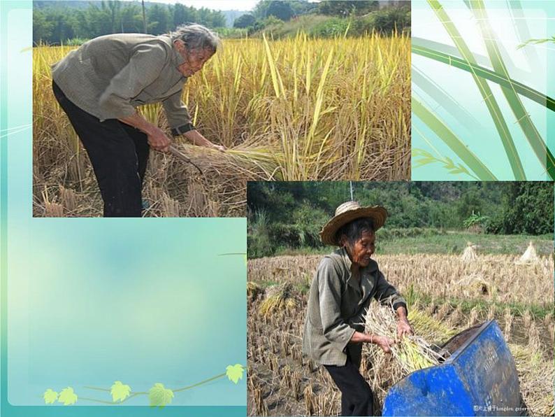 岭南版美术五年级下册 6.做个胸卡送老人 课件 教案07