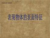 岭南版美术五年级下册 8.不同物象的表面特征 课件 教案