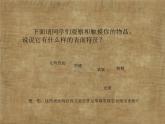 岭南版美术五年级下册 8.不同物象的表面特征 课件 教案