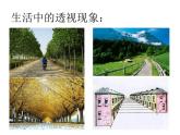 嶺南版美術(shù)五年級(jí)下冊 7.畫出立體感、空間感 課件 教案