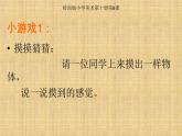 岭南版 五下 8. 不同物象的表面特征 课件（10张）