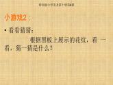 岭南版 五下 8. 不同物象的表面特征 课件（10张）