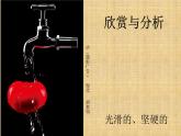 岭南版 五下 8. 不同物象的表面特征 课件（10张）