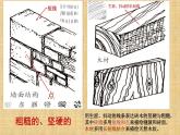 岭南版 五下 8. 不同物象的表面特征 课件（10张）