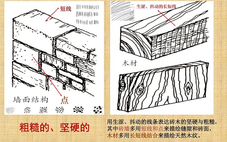 岭南版 五下 8. 不同物象的表面特征 课件（10张）第5页