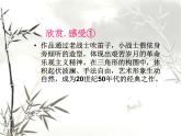 嶺南版 五下 4. 烽火歲月 課件（19張）
