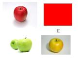 桂美版美术一年级上册 第10课 神奇的果树 课件