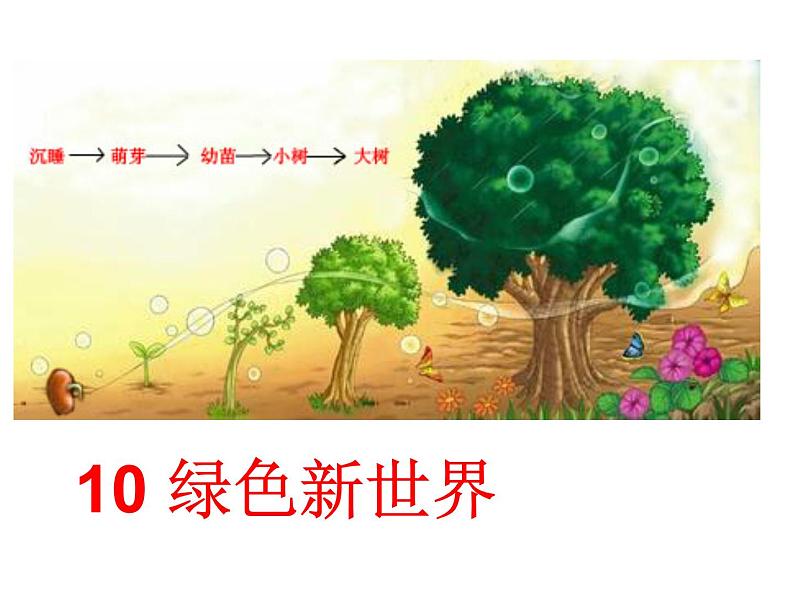 桂美版美术一年级下册 10 绿色新世界 课件 教案 (2)01