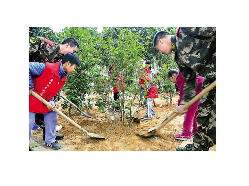 桂美版美术一年级下册 10 绿色新世界 课件 教案 (2)04