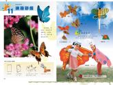 桂美版美术一年级下册 11 缤纷彩蝶 课件 (2)