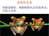 桂美版美术二年级上册 5.动物大聚会 课件（14张幻灯片）