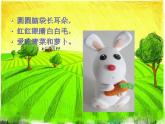 动物大聚会PPT课件免费下载