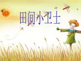 桂美版美术二年级上册 16 田间小卫士 课件 教案