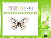 可爱的小虫PPT课件免费下载