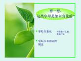 我的拼音卡片PPT課件免費(fèi)下載