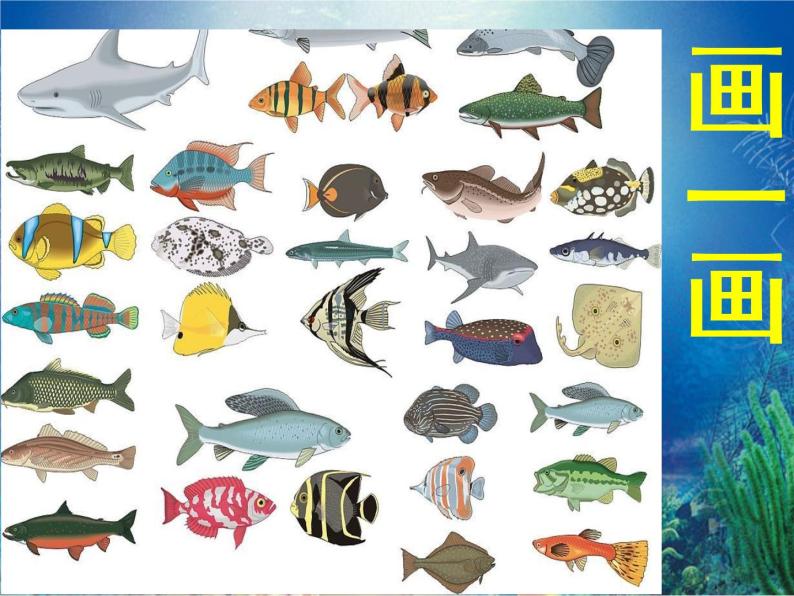 小学一年级上册美术课件-第17课谁画的鱼最大-人美版(11张)ppt课件07