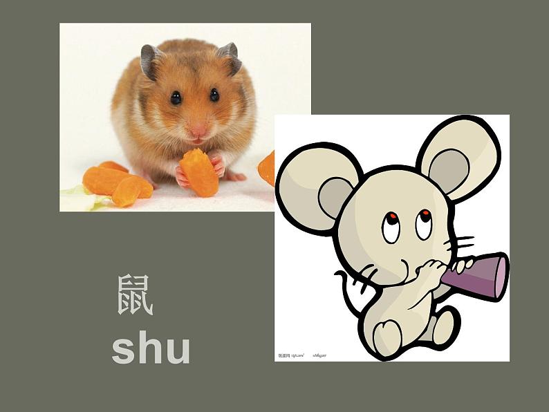 桂美版美术三年级上册 第18课 十二生肖 课件 教案02