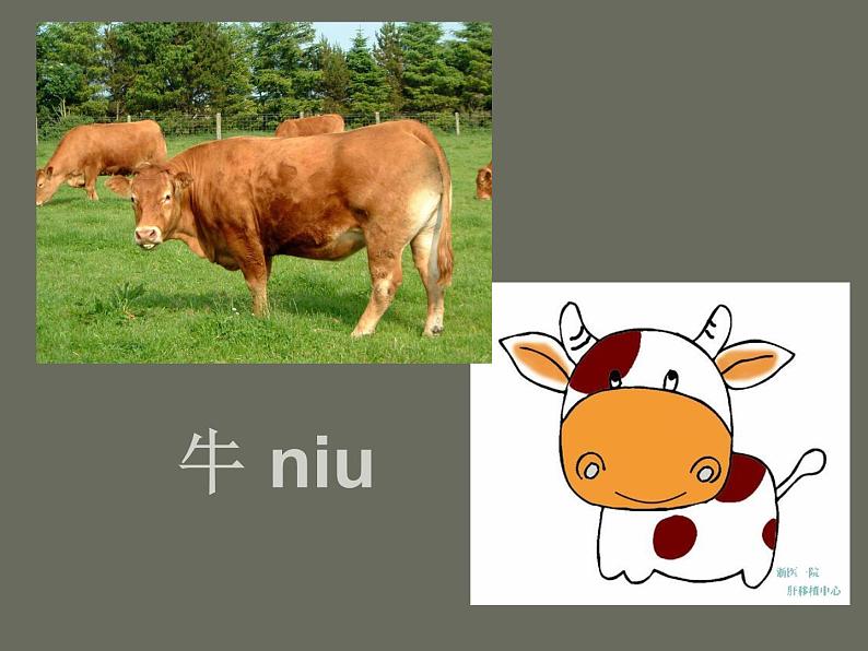 桂美版美术三年级上册 第18课 十二生肖 课件 教案03