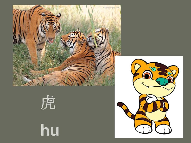 桂美版美术三年级上册 第18课 十二生肖 课件 教案04