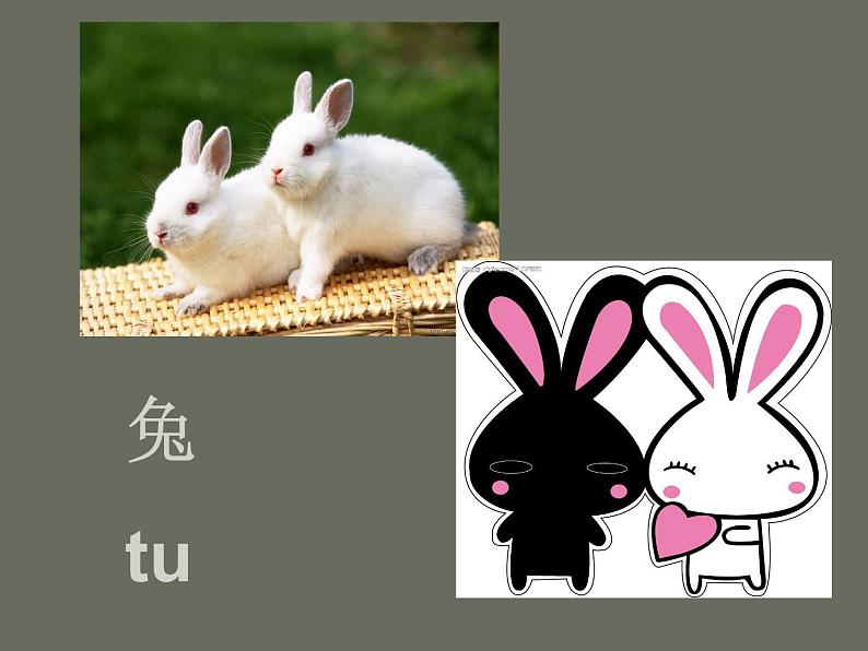 桂美版美术三年级上册 第18课 十二生肖 课件 教案05